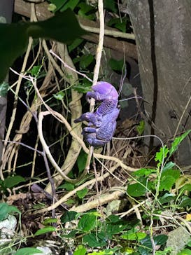 宮古島マリンショップSmileyに投稿された画像（2025/5/13）