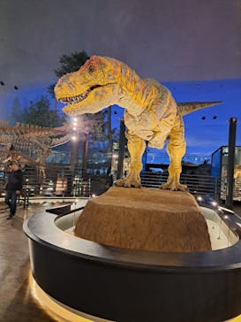 福井県立恐竜博物館に投稿された画像（2025/5/13）