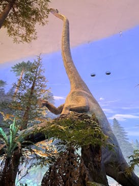 福井県立恐竜博物館に投稿された画像（2025/5/13）