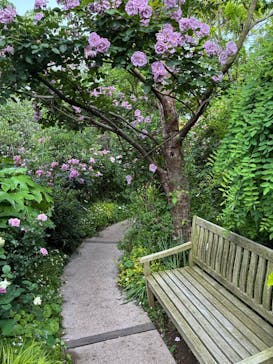 横浜イングリッシュガーデンに投稿された画像（2025/5/13）