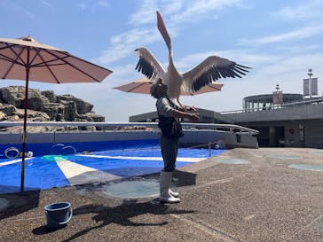 大分マリーンパレス水族館 「うみたまご」に投稿された画像（2025/5/13）