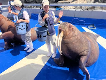 大分マリーンパレス水族館 「うみたまご」に投稿された画像（2025/5/13）
