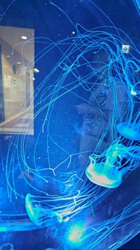 名古屋港水族館に投稿された画像（2025/5/13）