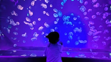 名古屋港水族館に投稿された画像（2025/5/13）