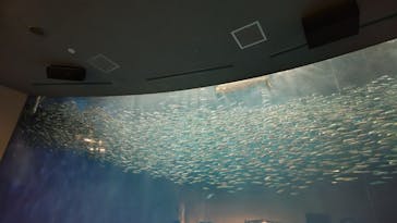 名古屋港水族館に投稿された画像（2025/5/13）