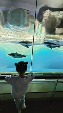 名古屋港水族館に投稿された画像（2025/5/13）