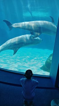 名古屋港水族館に投稿された画像（2025/5/13）