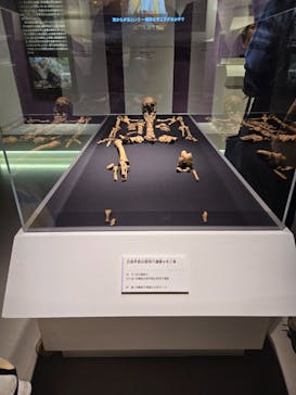 特別展「古代DNA－日本人のきた道」（国立科学博物館）に投稿された画像（2025/5/13）
