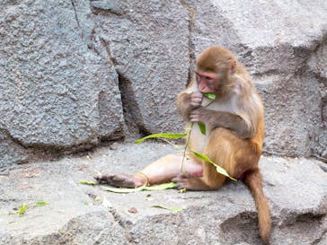 東武動物公園に投稿された画像（2025/5/13）