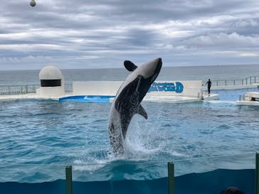 鴨川シーワールドに投稿された画像（2025/5/13）