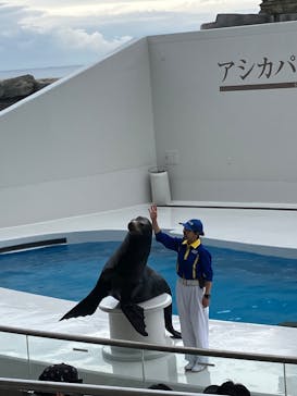 鴨川シーワールドに投稿された画像（2025/5/13）