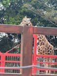東武動物公園に投稿された画像（2025/5/14）