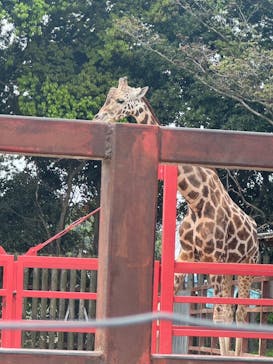 東武動物公園に投稿された画像（2025/5/13）