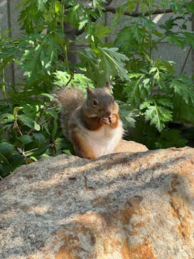 神戸どうぶつ王国×有馬街道温泉すずらんの湯に投稿された画像（2025/5/14）