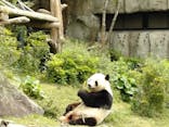 恩賜上野動物園に投稿された画像（2025/5/14）