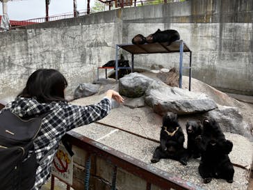 奥飛騨クマ牧場に投稿された画像（2025/5/14）