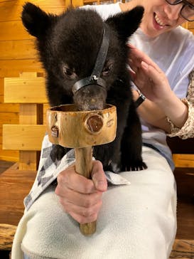 奥飛騨クマ牧場に投稿された画像（2025/5/14）