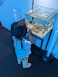 上越市立水族博物館 うみがたりに投稿された画像（2025/5/14）