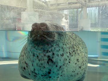 京都水族館に投稿された画像（2025/5/14）