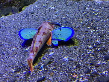 京都水族館に投稿された画像（2025/5/14）