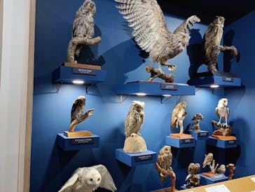 特別展「鳥～ゲノム解析が解き明かす新しい鳥類の系統～」に投稿された画像（2025/5/14）