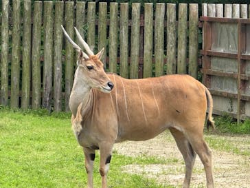 東武動物公園に投稿された画像（2025/5/14）