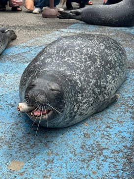 東武動物公園に投稿された画像（2025/5/14）