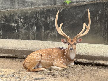 東武動物公園に投稿された画像（2025/5/14）