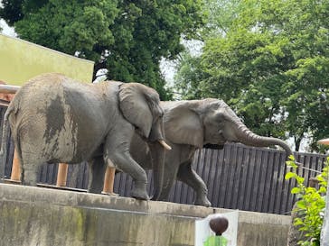 東武動物公園に投稿された画像（2025/5/14）