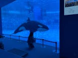 名古屋港水族館に投稿された画像（2025/5/14）