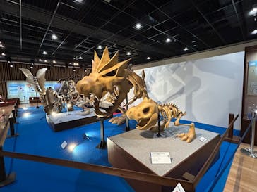 福井県立恐竜博物館に投稿された画像（2025/5/14）