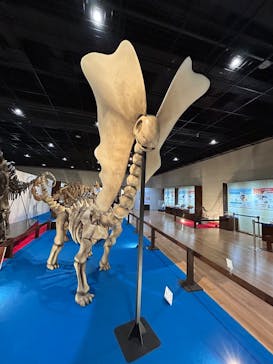 福井県立恐竜博物館に投稿された画像（2025/5/14）