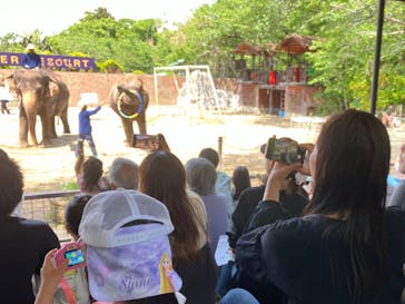 ANIMAL WONDER REZOURT 市原ぞうの国・サユリワールドに投稿された画像（2025/5/14）