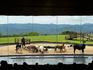 マザー牧場に投稿された画像（2025/5/14）