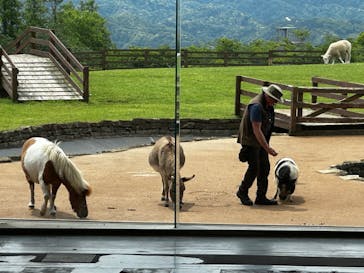 マザー牧場に投稿された画像（2025/5/14）