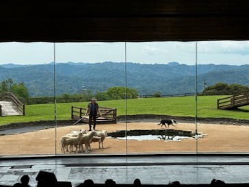 マザー牧場に投稿された画像（2025/5/14）