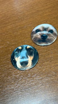 いぬカフェRio 秋葉原店に投稿された画像（2025/5/14）