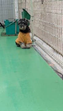 つくばわんわんランドに投稿された画像（2025/5/14）