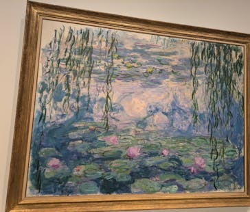 モネ　睡蓮のときに投稿された画像（2025/5/14）