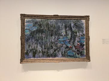 モネ　睡蓮のときに投稿された画像（2025/5/14）