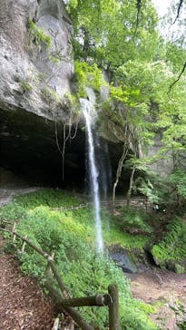 ジャパンだるまツアーに投稿された画像（2025/5/14）