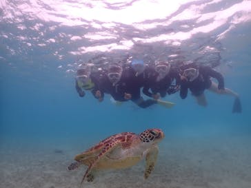 元気玉に投稿された画像（2025/5/14）