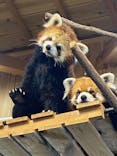 伊豆シャボテン動物公園に投稿された画像（2025/5/15）
