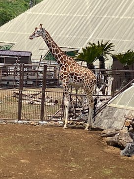 伊豆シャボテン動物公園に投稿された画像（2025/5/14）