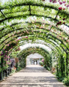 横浜イングリッシュガーデンに投稿された画像（2025/5/14）