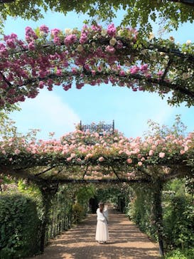 横浜イングリッシュガーデンに投稿された画像（2025/5/14）