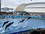 名古屋港水族館に投稿された画像（2025/5/15）