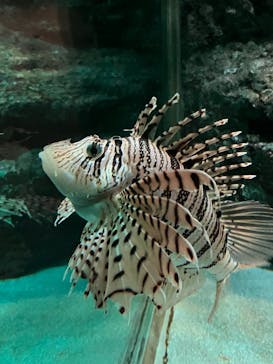 名古屋港水族館に投稿された画像（2025/5/14）