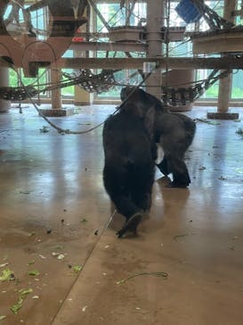 名古屋市東山動植物園に投稿された画像（2025/5/15）
