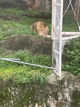 名古屋市東山動植物園に投稿された画像（2025/5/15）